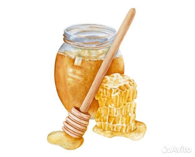 Контейнер пластиковый медовый