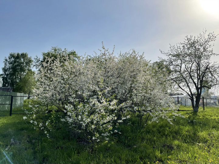 Участок 45 сот. (ИЖС)