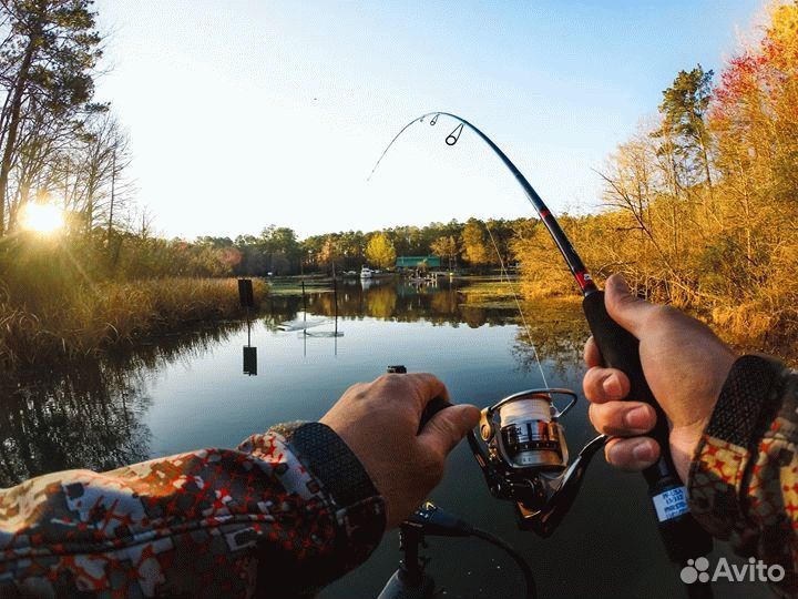 Обучение рыбалке