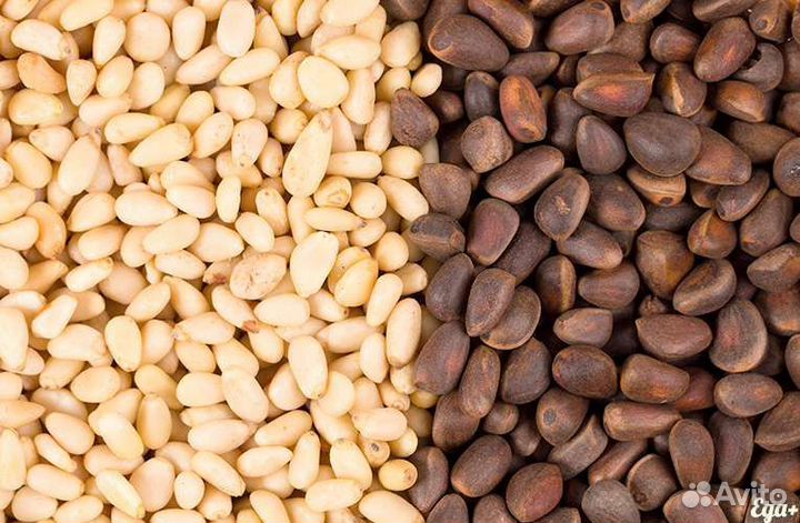 Кедровый орех/ядро кедрового оптом