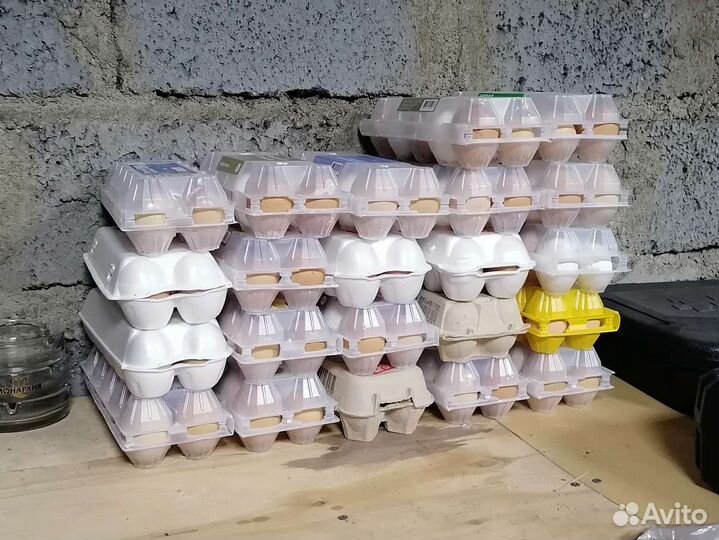 Домашние куриные яйца