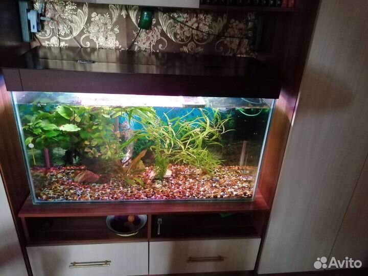 Украшение для аквариума