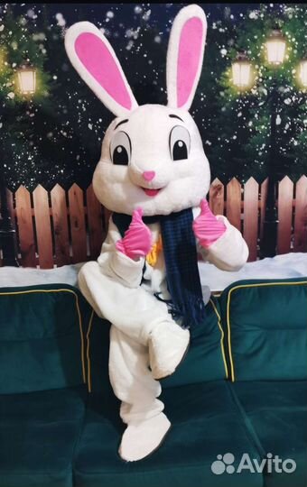 Ростовой плюшевый заяц, мультяшный костюм