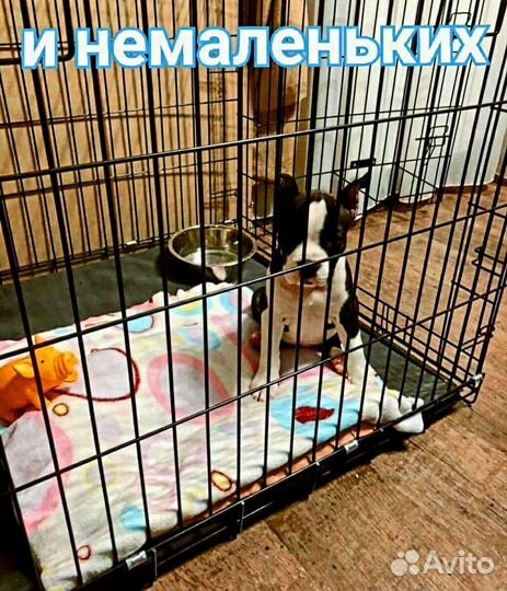 Клетка вольер для собак новая