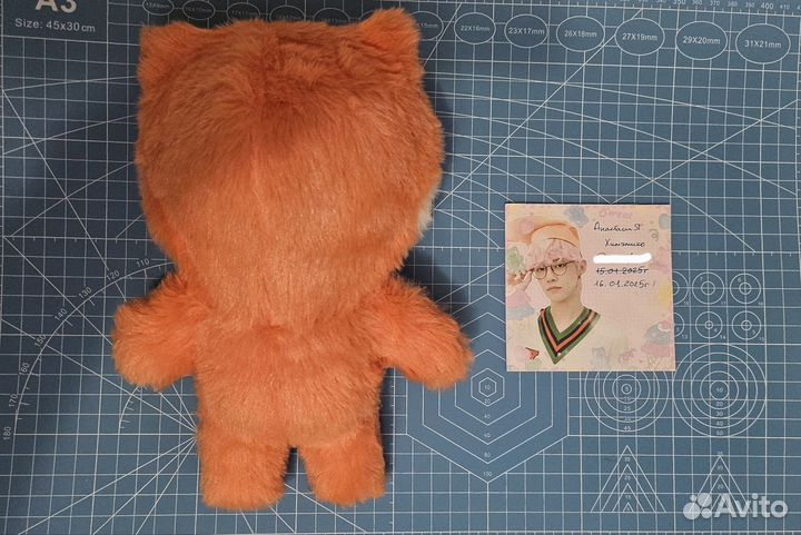 Enhypen сону плюшевая игрушка