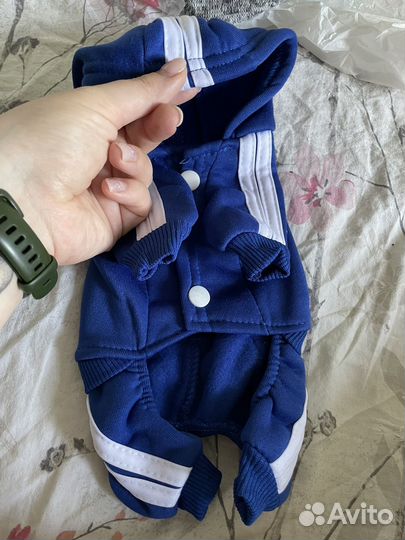 Одежда для собачки/кошки