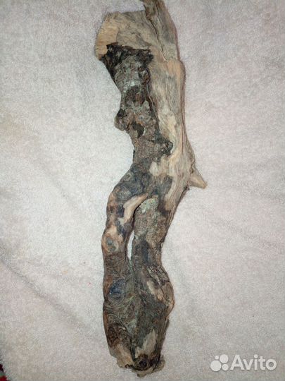 Коряги дрифтвуд