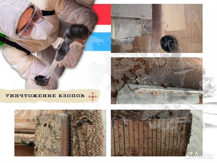 Уничтожение тараканов клопов блох дезинфекция