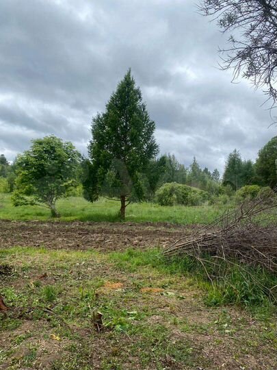 Дом 44 м² на участке 52 сот.