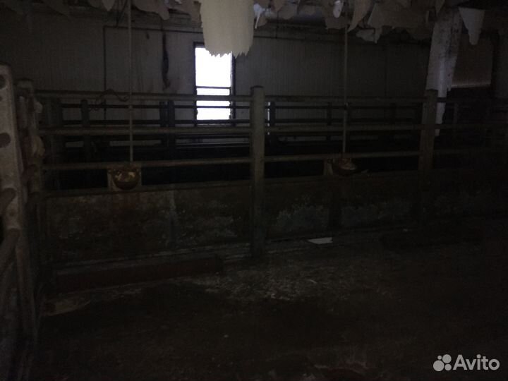 Ограждение крс, загон крс, забор крс