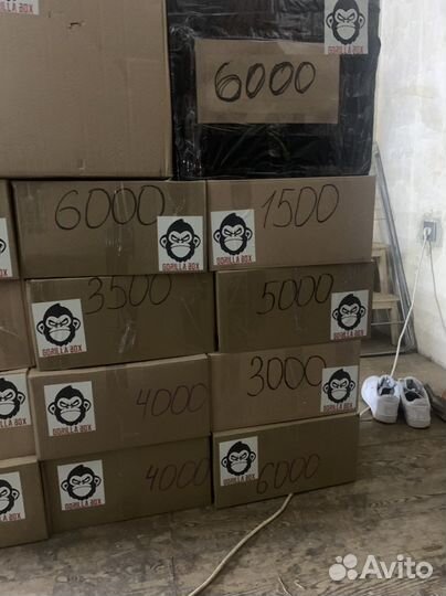 Master box Mystery Box Master Box