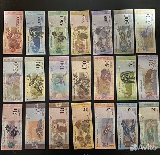 Набор банкнот Венесуэла
