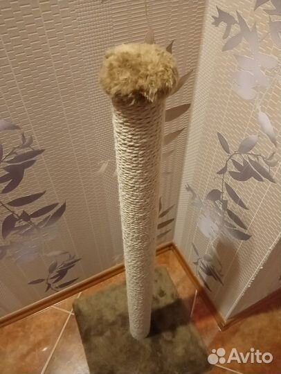 Когтеточка для кошек