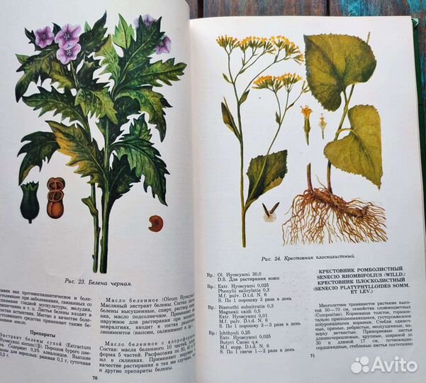 Ботаническая книга лекарственные растения