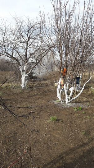 Участок 7 сот. (СНТ, ДНП)