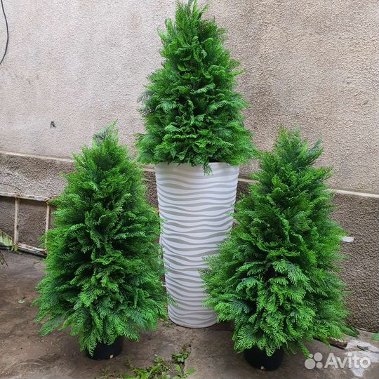 Туя искусственная, можжевельник, деревья