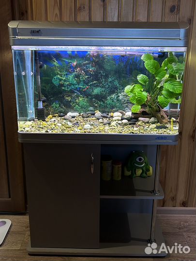 Аквариум