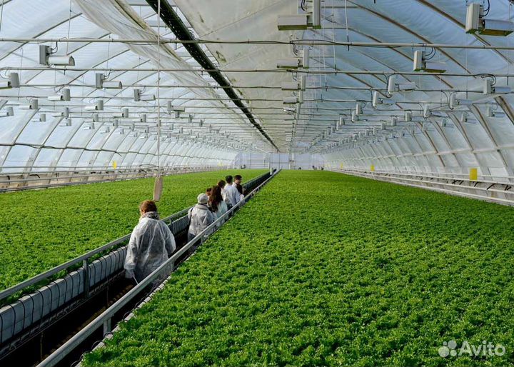 Овощевод/разнорабочий