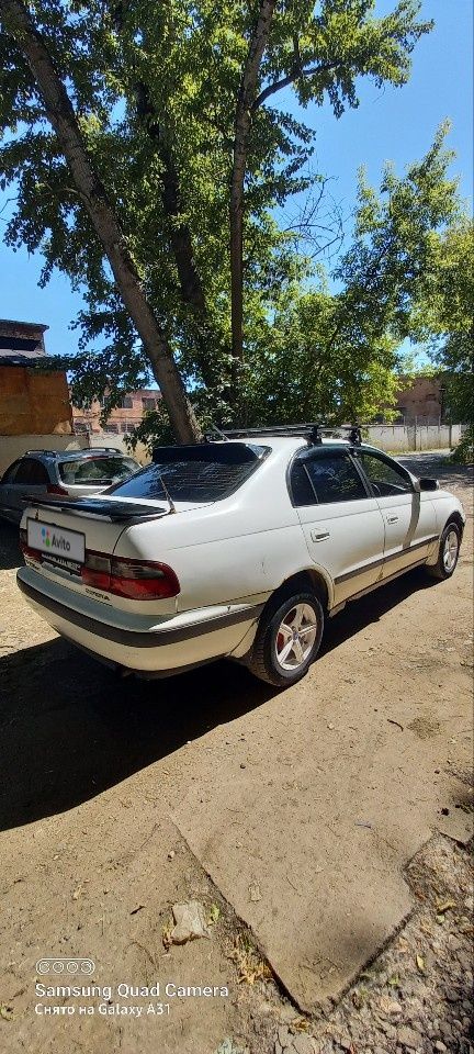 Toyota Corona: фото владельца