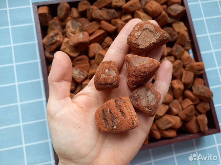 Кора для орхидей крупная 