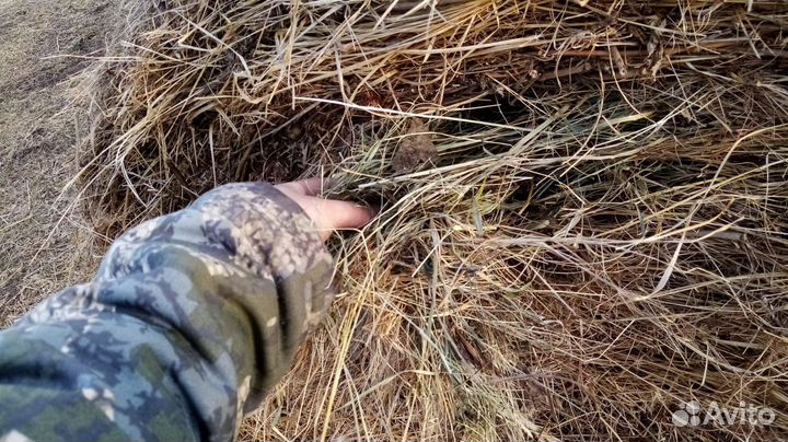 Сено в рулонах