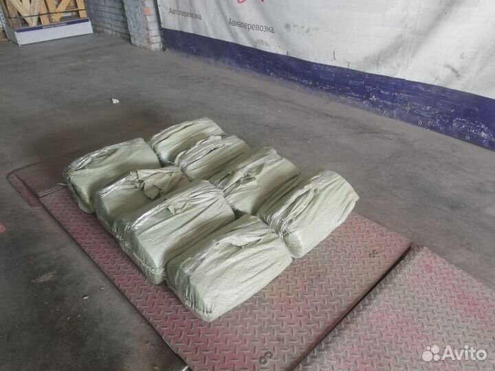 Черенки лозы/ ивы Ламберта