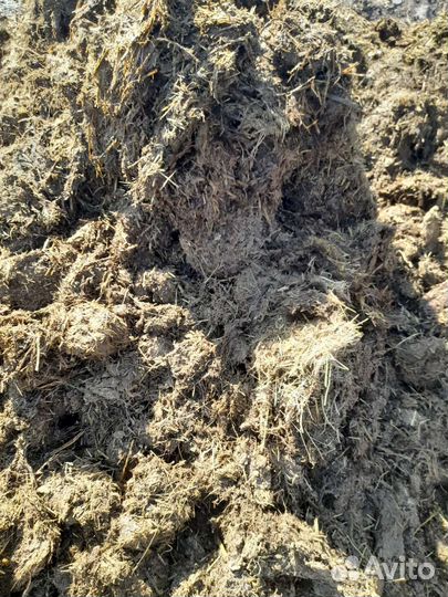 Навоз перегной газель