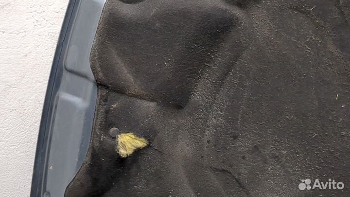 Капот Peugeot 407