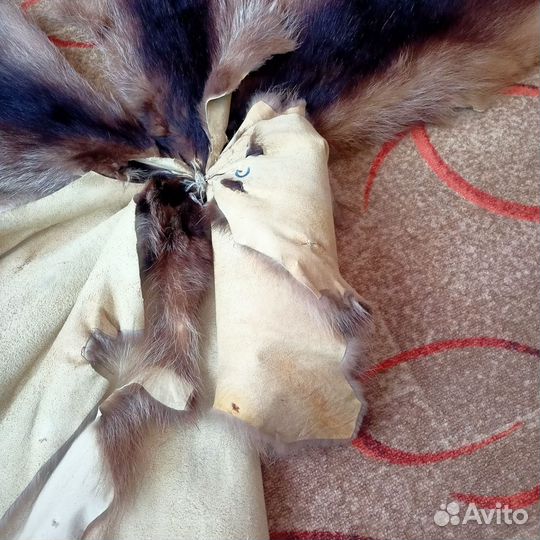 Шкурки енота