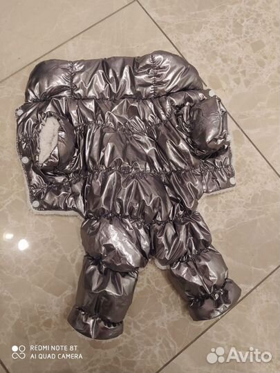 Одежда для собак мелких пород