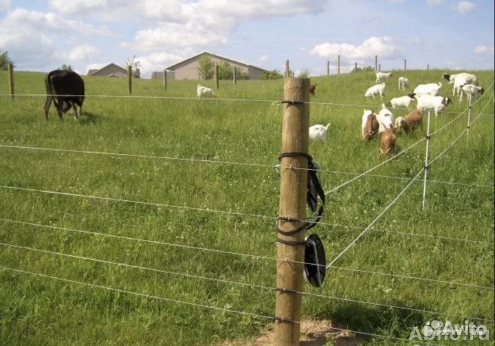 Электропастух. Генератор EPU-4 -220/12в