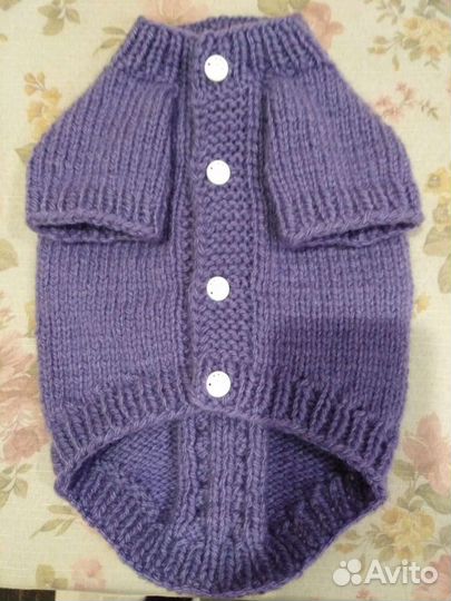 Одежда для собак