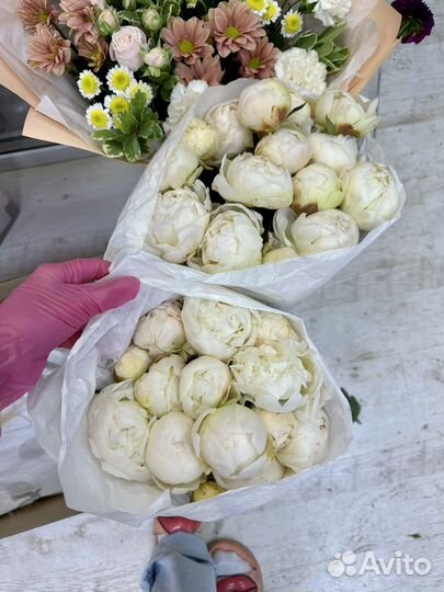 Пионы, букеты, доставка цветов