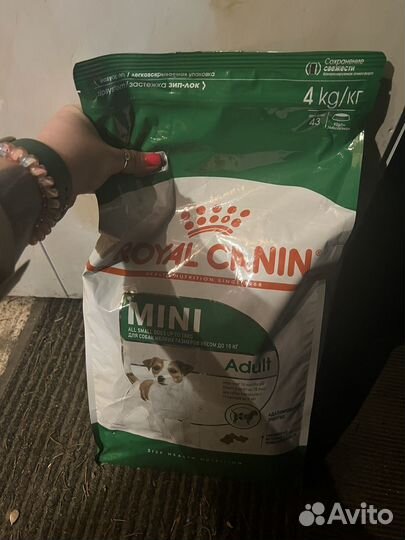 Корм для собак