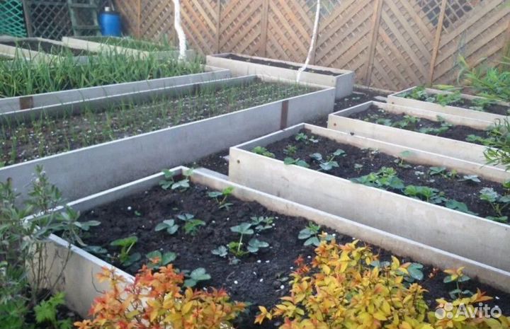 Шифер плоский для грядок