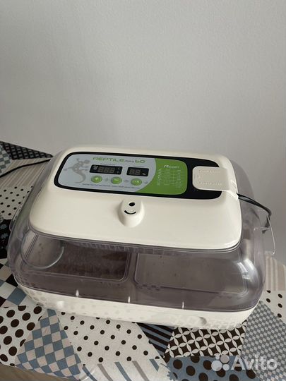 Инкубатор для яиц рептилий Rcom 60 MAX