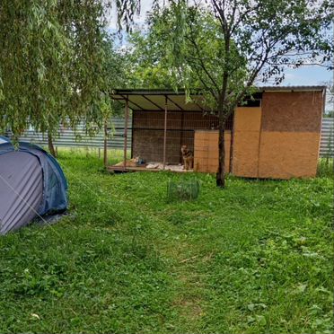 Вольер для собак бу уличный с будкой и хозблоком