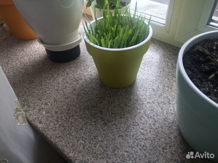 Мраморные подоконники