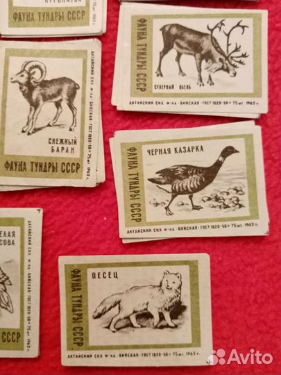 Спичечные этикетки. Фауна тундры СССР