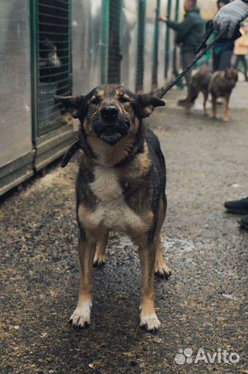 Таких не выбирают