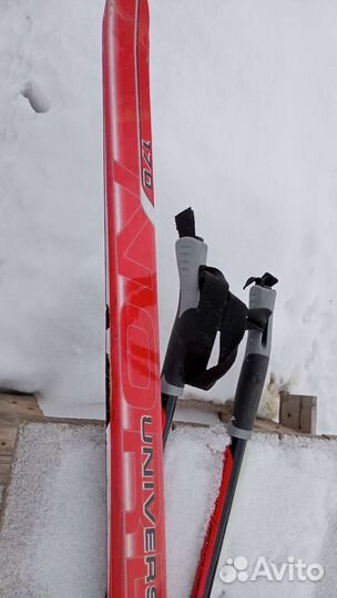 Беговые лыжи