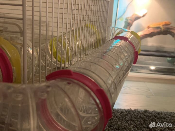 Клетка для грызунов бу