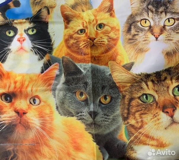 Фартук для кухни Мяу/Кошки (Италия)