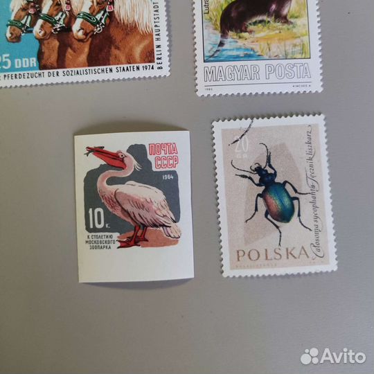 Почтовые марки СССР и не только