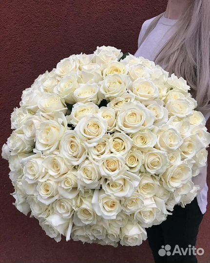 Розы Букет роз Цветы с доставкой