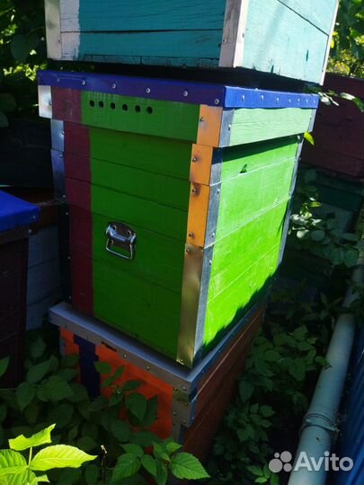 Продаю улья