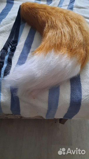 Лисий хвост