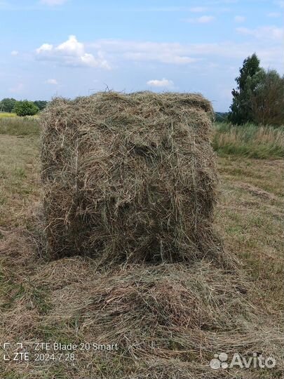 Сена в тюках