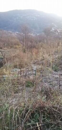 Участок 4,4 сот. (СНТ, ДНП)