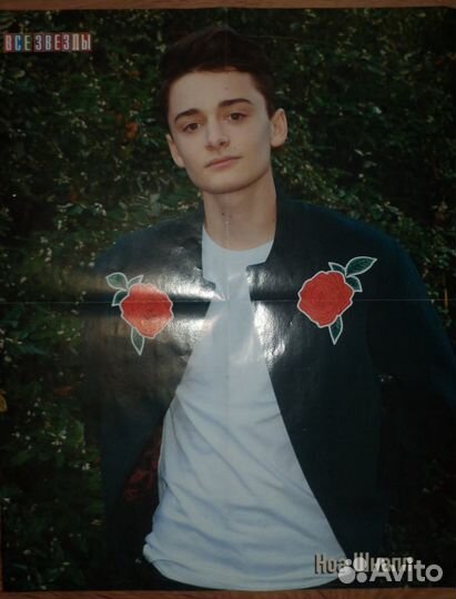 Плакат Ноа Шнапп